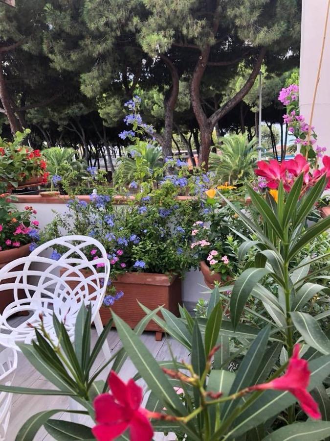 Brezza Marina Bed and Breakfast Marina Di Carrara Εξωτερικό φωτογραφία